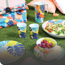 Cooking & Picnicware