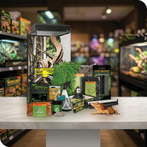 Reptile Starter Kits