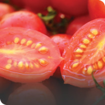 Salad Seeds