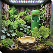 Vivarium Decorations