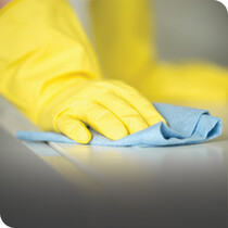 Cleaning Gloves