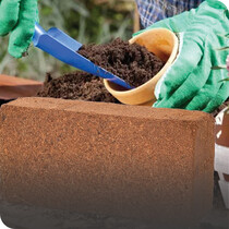 Compost & Soil