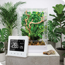 Vivarium Thermostats & Hygrometers
