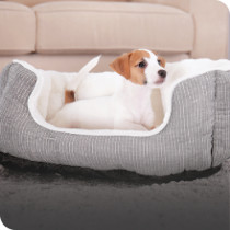 Puppy Essentials