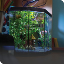 Fish Tanks & Bowls