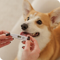 Dog Healthcare