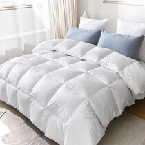 Duvets & Quilts