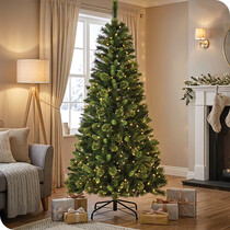 Slim Christmas Trees 