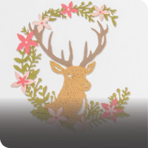 Animal Dies