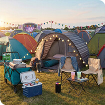 Festival Essentials